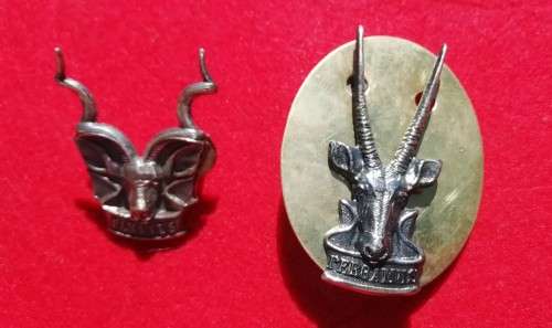 SWATF - HQ CAP BADGE (LARGER TYPE) and AREA FORCES CAP BADGE - SCREWS / PINS INTACT