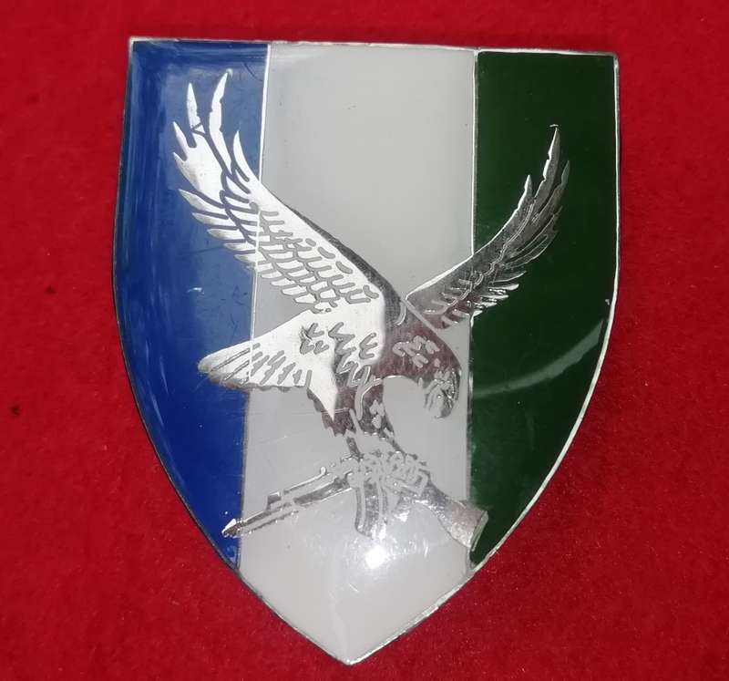 101 ROMEO MIKE BATTALION POCKET FLASH