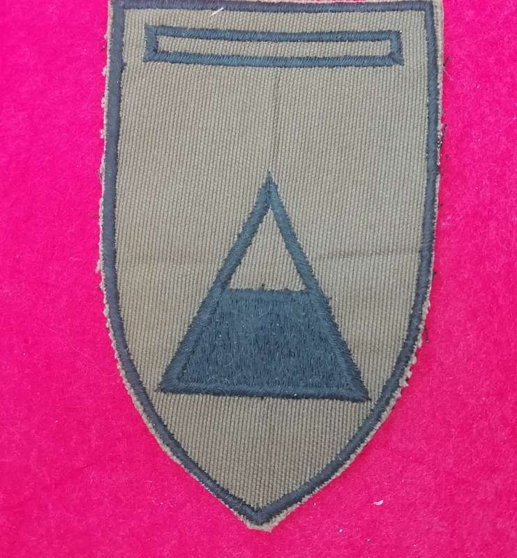 44 PARACHUTE BRIGADE - ALPHA COMPANY NUTRIA FLASH