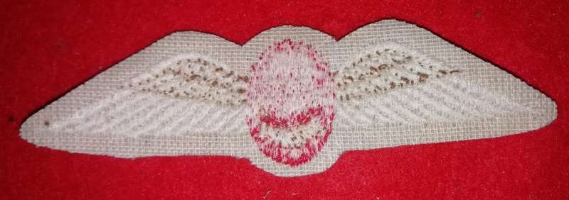 SADF PARACHUTE FREEFALL WING - 1ST VARIANT - INTRODUCED 1973