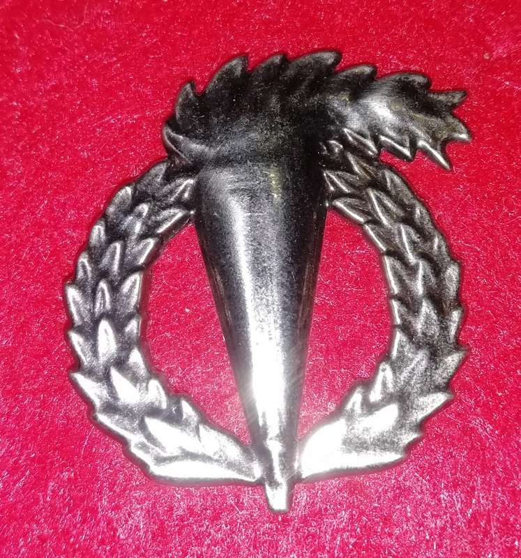 PATHFINDER BREAST BADGE - FULL SIZE