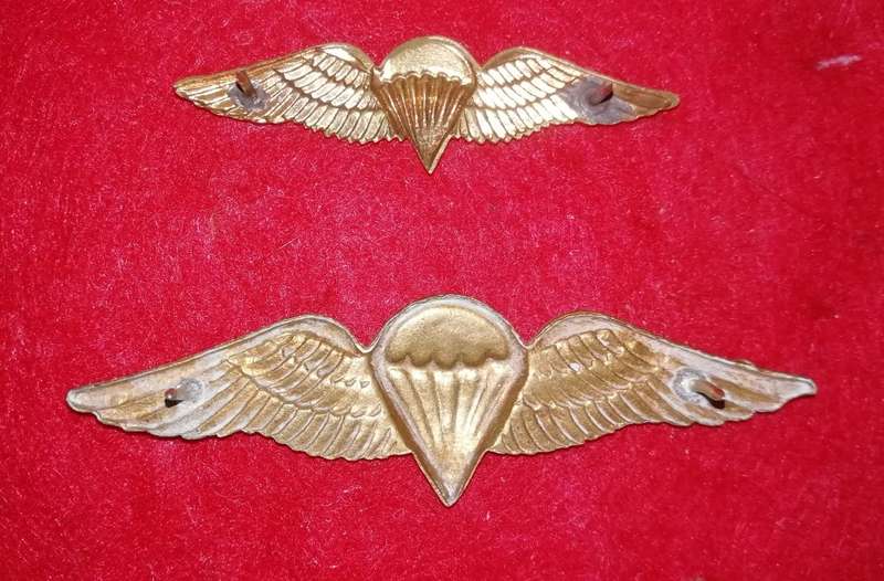 SADF PARATROOPER BASIC WING FULL SIZE & MESS DRESS