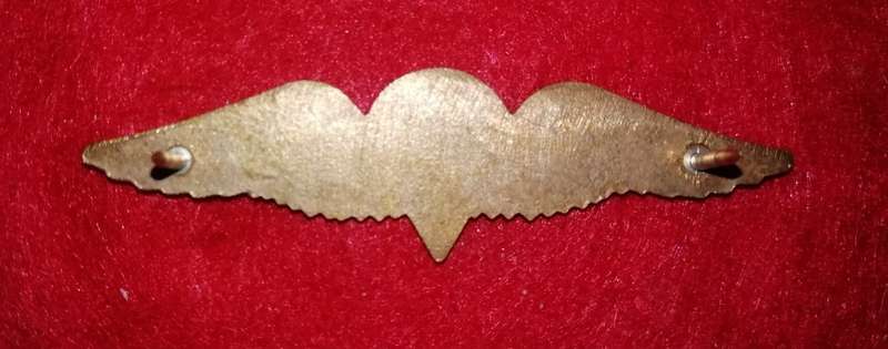 SADF PARATROOPER BASIC MESS DRESS WING