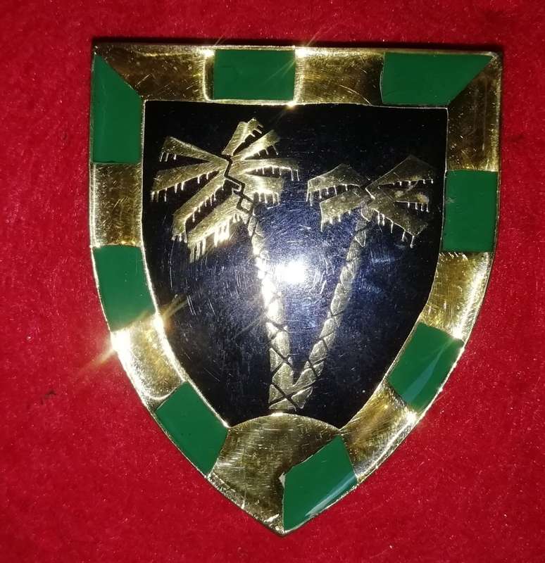 53 BATTALION POCKET FLASH