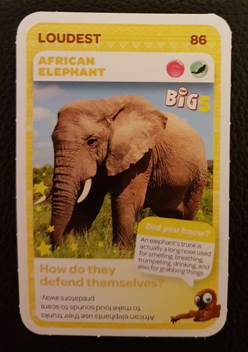 PICK N PAY ANIMAL CARD - NUMBER 86 AFRICAN ELEPHANT