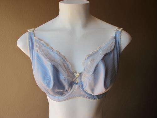 Bigger Bust Bras: Beautiful Blue & Cream Playtex Bra 38G