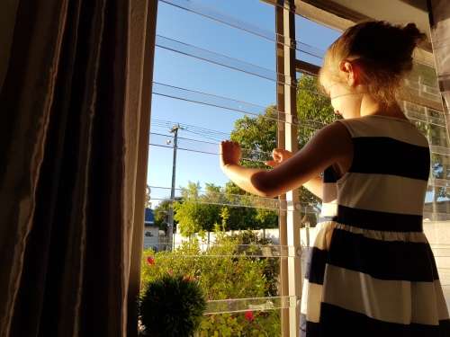ViewProtect Clear Window Guards - 6 Pack 1000mm - Child Protection