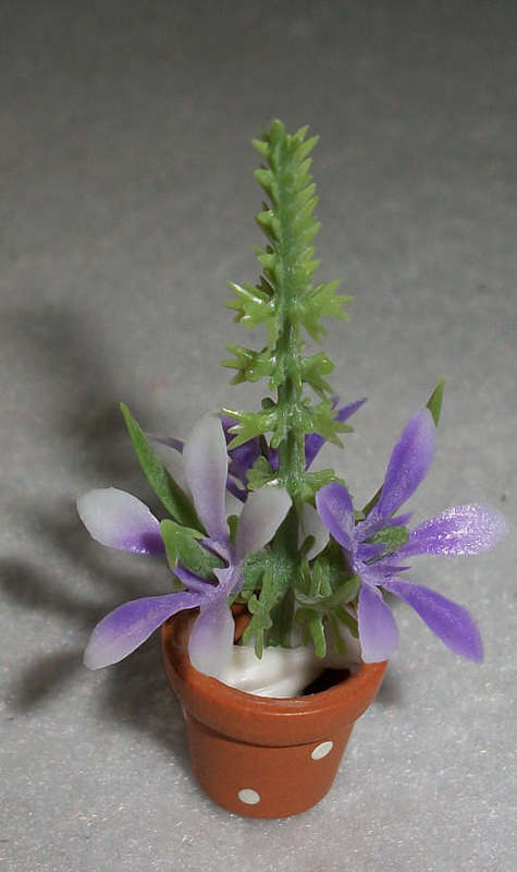 Lilac flowers.