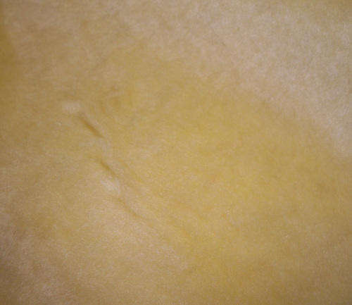 Teddy bear synthetic fur, medium soft yellow.