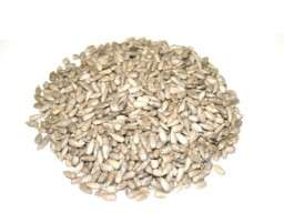 Sunflower Seeds! 500g