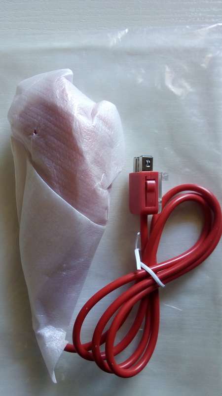 Nintendo Wii Nunchuck