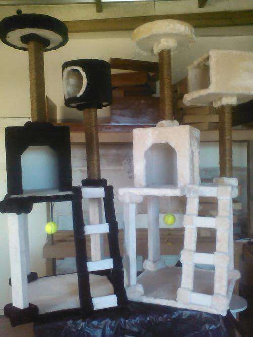 Brand new Cat Condo , cat gym