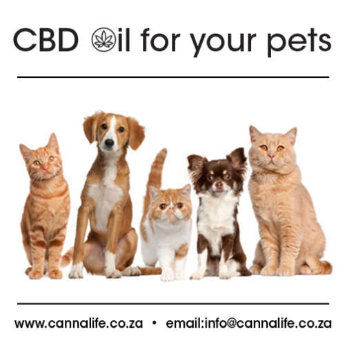 CannaLife Pets CBD oil. Lab tested, imported base products