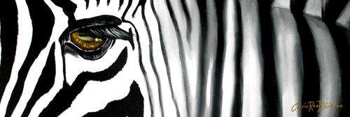 FREE COURIER --- ZEBRA --- 1200 x 500 (large) --- Panoramic PRINT on Blocked Canvas