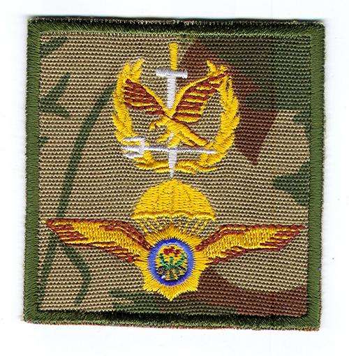 SAPS Special Task Force Operator Badge