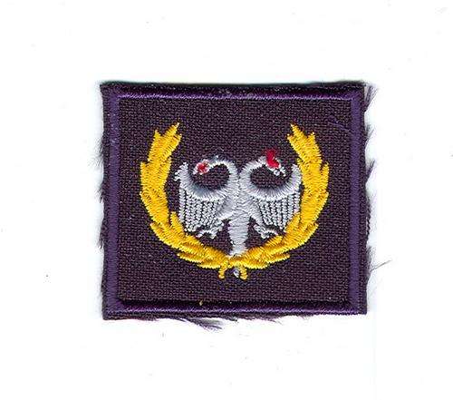 SA Airforce Security Field Dress **Tupperware** (Not the embroidered one shown!)