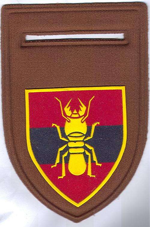 1 Construction Regiment Tupperware Shoulder Flash ( 1 Pin)