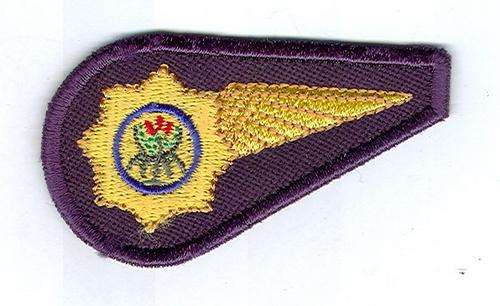 Police Air Wing ALEO Half Wing