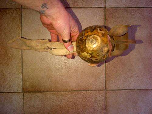 Natural Rattle for Sale