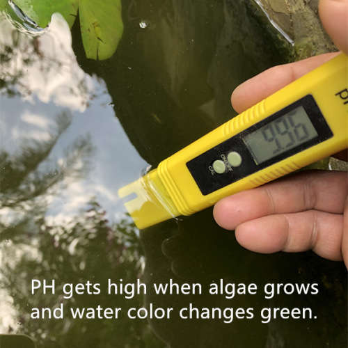 Digital PH Tester PH009 (I)A with ATC