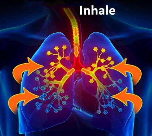 Medical Compressed Atomizer - for Inhalation of Medications