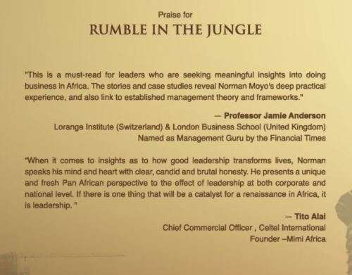 Rumble in the Jungle: Leadership from an African Perspective (by Norman Moyo)