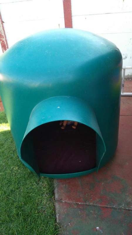 Dog Kennel Extra Large