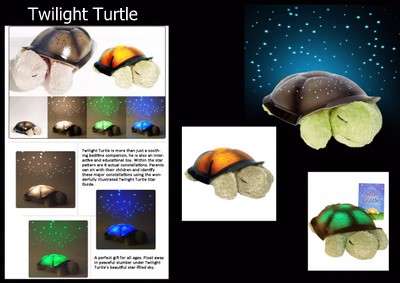 Twilight Turtle