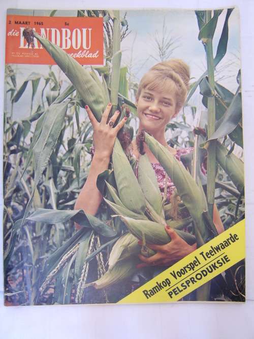 Die Landbou Weekblad 02 Maart 1965