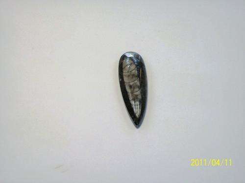 BELEMNITE  14 grams 62mm x 17mm