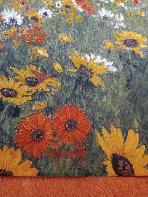 West coast Flowers,Johanette van Deventer