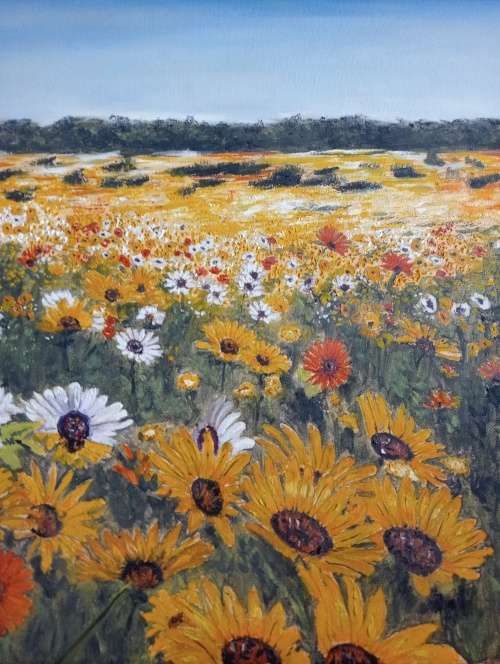 West coast Flowers,Johanette van Deventer