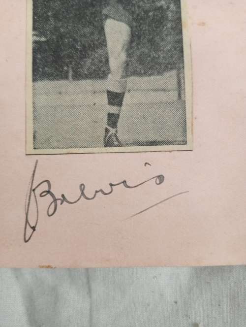 Hansie Brewis, Springbok  no 268 flyhalf, original autograph