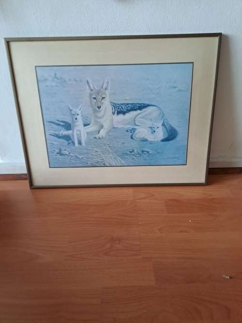 Black backed Jackal print by Vic Andrews