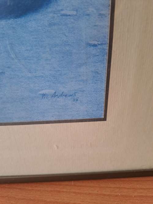 Black backed Jackal print by Vic Andrews