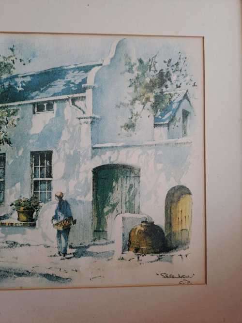 Stellenbosch Print by Phil Bawcombe