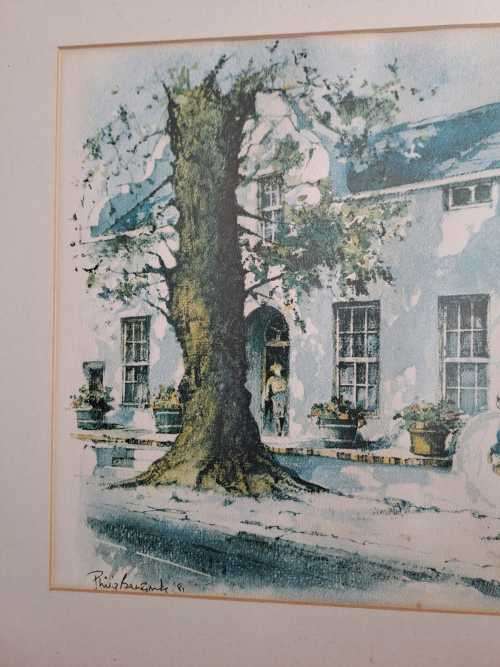 Stellenbosch Print by Phil Bawcombe