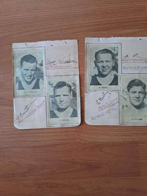 1938 British and Irish Lions signatures as well as 1938 RAF Boxers signatures
