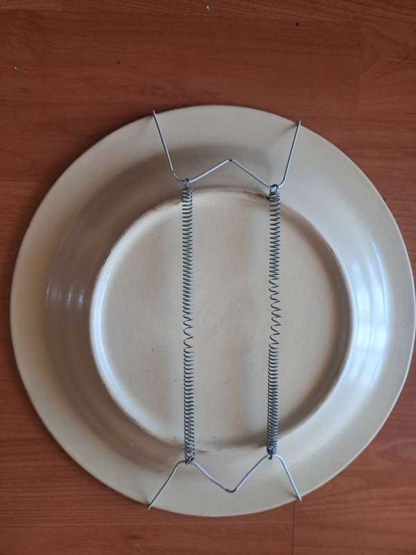 Beautiful Jock of the Bushveld Commemorative Plate