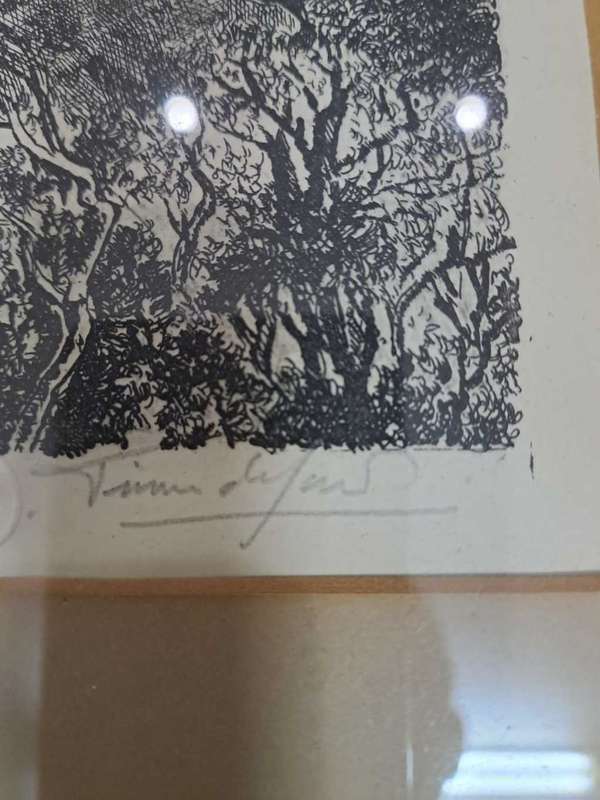 Original Framed Lino, watermarked Tinus de Jongh, Drakensberg, Natal