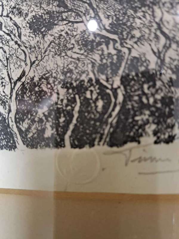 Original Framed Lino, watermarked Tinus de Jongh, Drakensberg, Natal