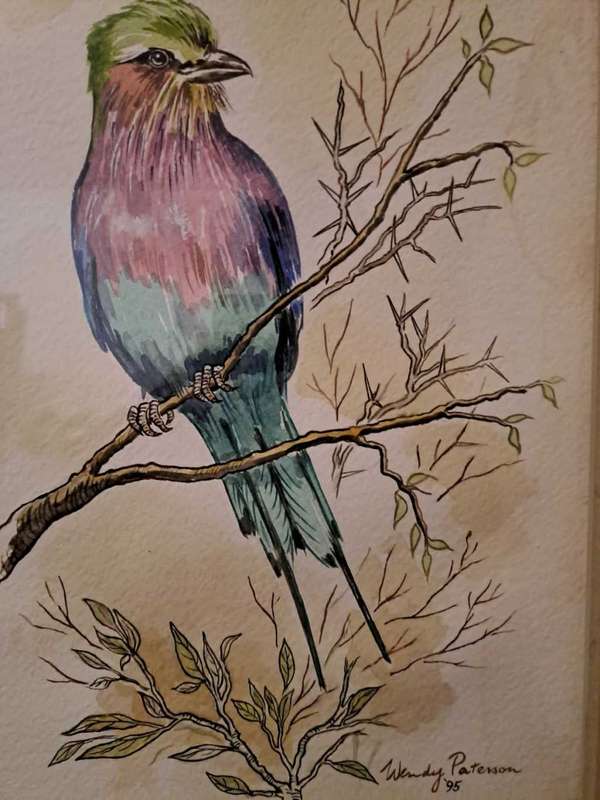 Lilac Breasted Roller, watercolour by Wendy Paterson