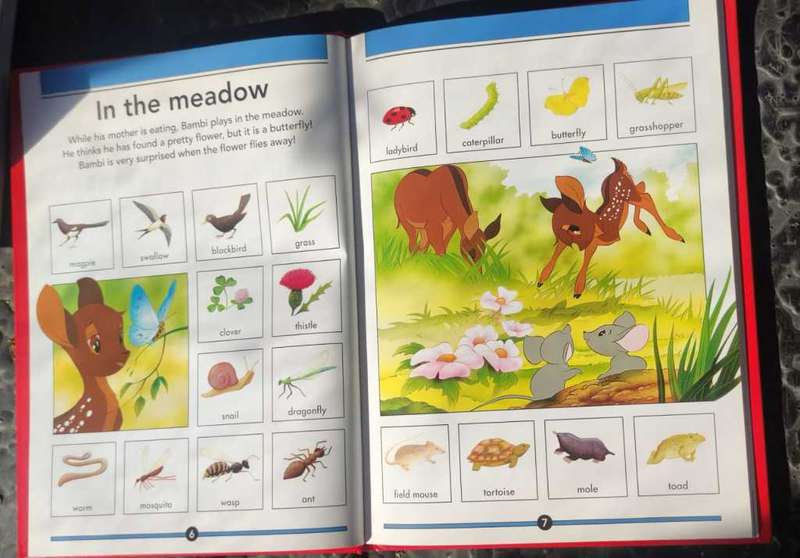 Children's Kid's Education Book My first Word Book - More than 500 words