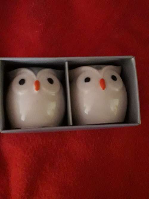 Salt and Pepper Owls