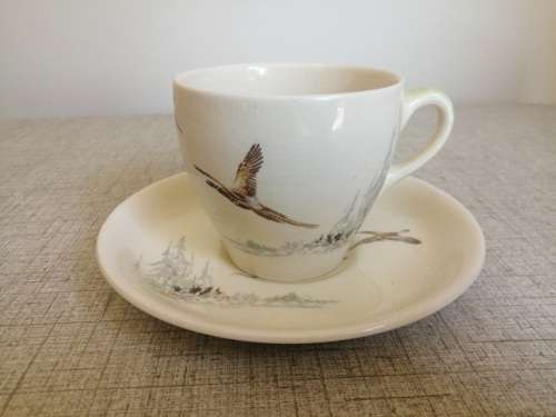 Royal Doulton Cup and saucer