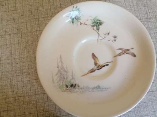 Royal Doulton Cup and saucer