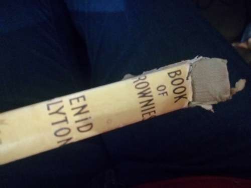 The Book of Brownies by Enid Blyton