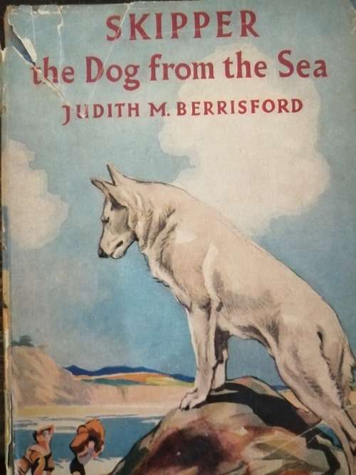 Skipper the dog from the sea by Judith M Berrisford