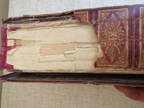 Pictorial History of the World 1877