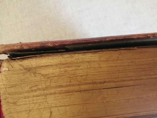 Pictorial History of the World 1877